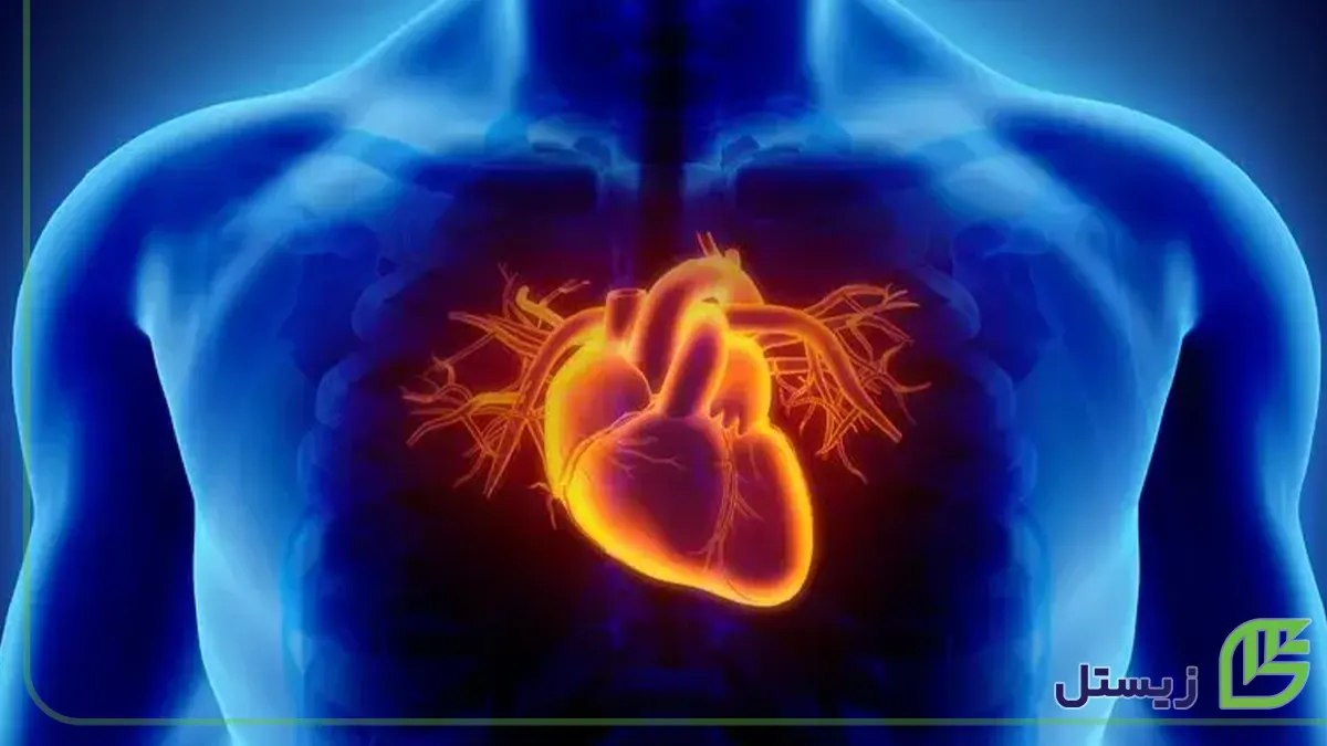 اندوکاردیت و عفونت قلب - تشخیص به موقع